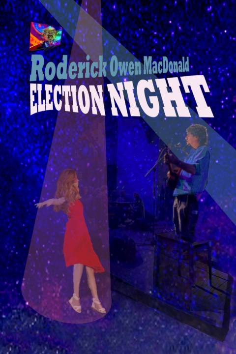 Kniha Election Night by Roderick Owen MacDonald MacDonald