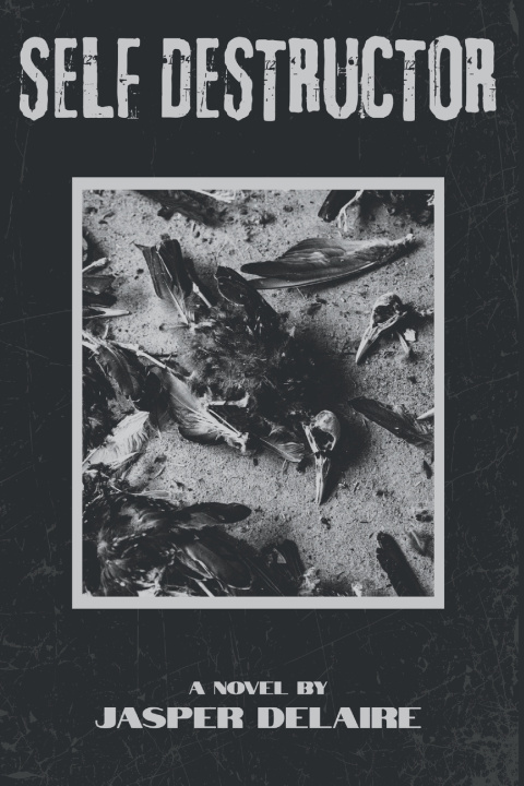 Kniha Self Destructor Jasper DeLaire