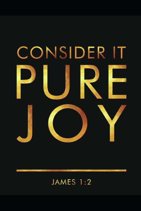 Kniha Pure Joy Paul Edwards