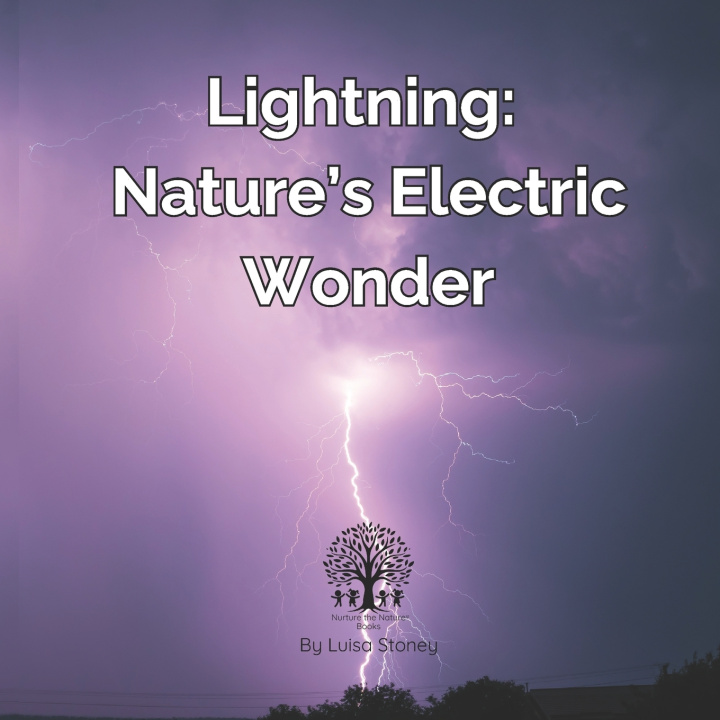 Kniha Lightning Luisa Stoney