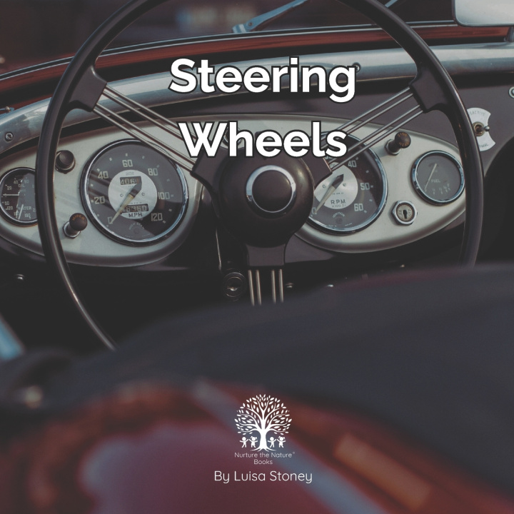 Kniha Steering Wheels Luisa Stoney