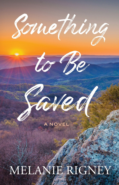 Kniha Something to Be Saved Melanie Rigney