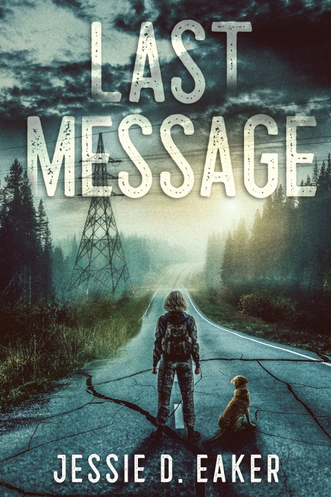 Kniha Last Message Jessie D Eaker