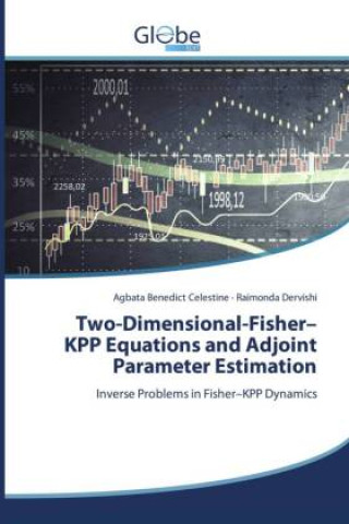 Kniha Two-Dimensional-Fisher-KPP Equations and Adjoint Parameter Estimation Agbata Benedict Celestine