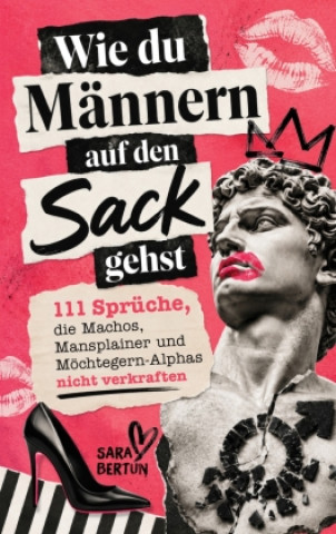 Kniha Wie du Männern auf den Sack gehst Sara Bertun