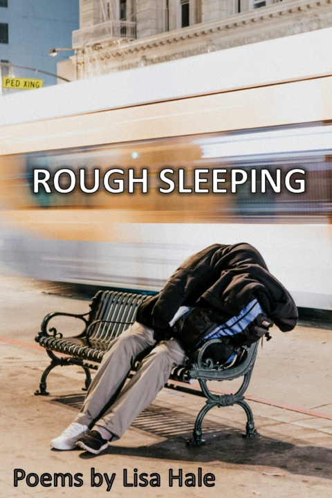 Kniha Rough Sleeping Lisa Hale