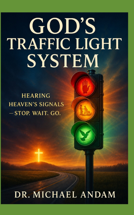 Kniha God's Traffic Light System Michael Andam