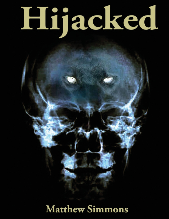Book Hijacked Matthew Simmons