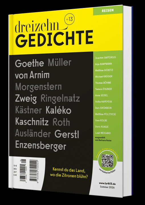 Boek dreizehn +13 Gedichte Katharina Pütter