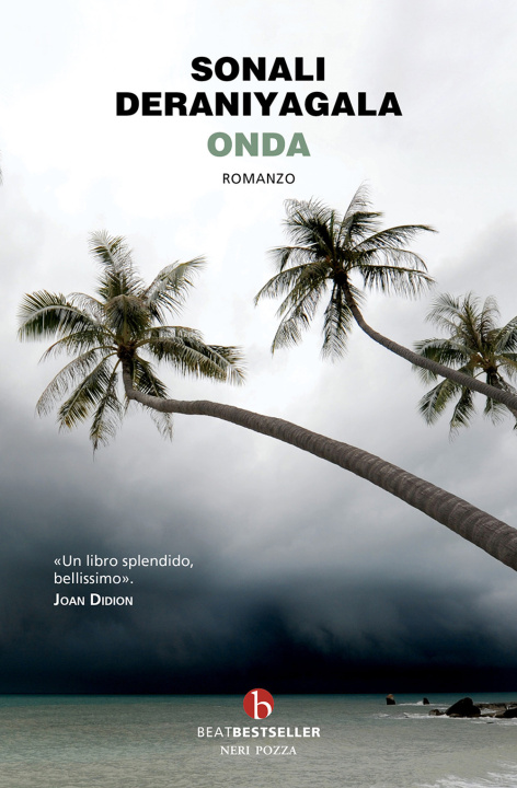 Boek Onda Sonali Deraniyagala