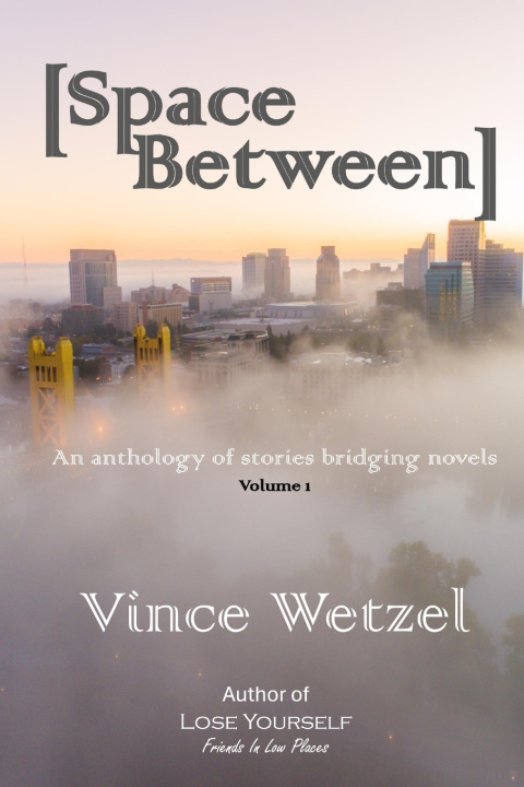 Kniha Space Between Vince Wetzel