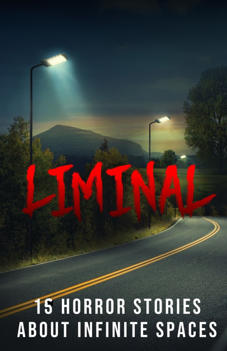 Kniha Liminal Blair Daniels