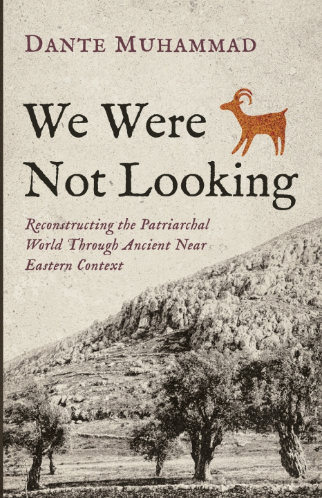 Kniha We Were Not Looking Dante Muhammad