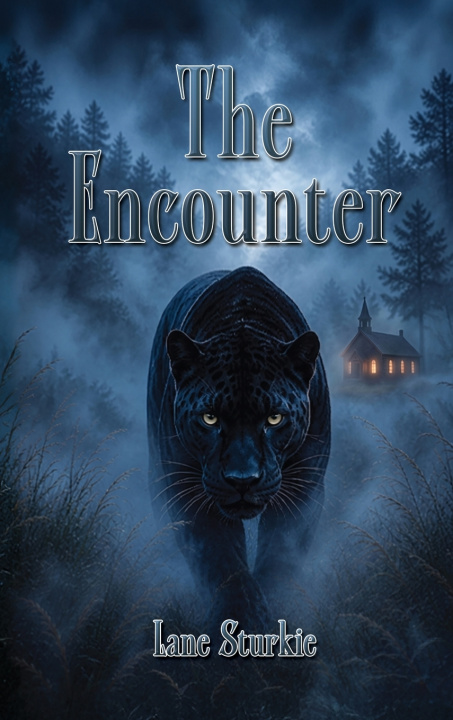 Kniha The Encounter Lane Sturkie