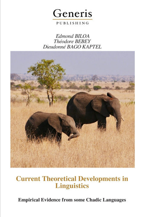 Kniha Current Theoretical Developments in Linguistics Théodore BEBEY