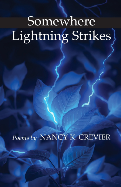 Kniha Somewhere Lightning Strikes Nancy K. Crevier