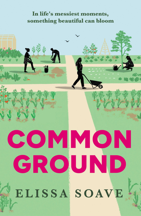 Knjiga Common Ground Elissa Soave