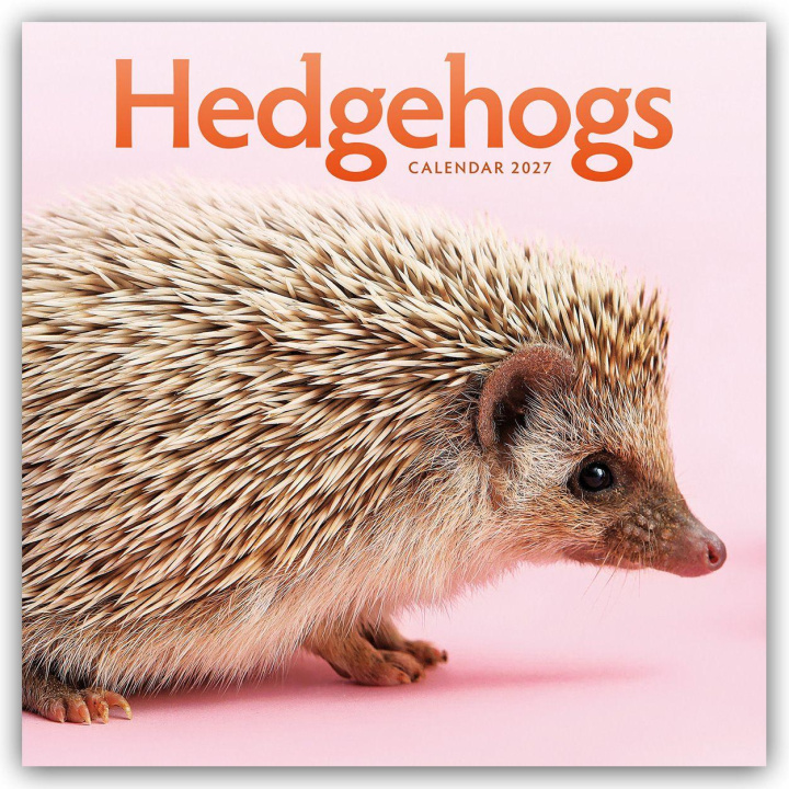 Kalendár/Diár Hedgehogs (PFP) W 