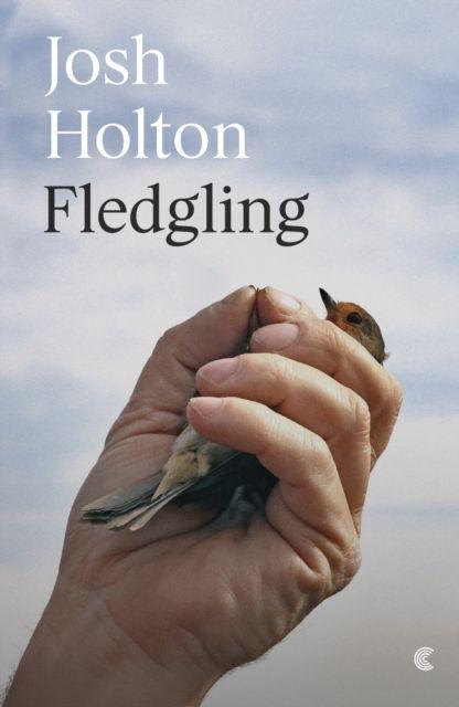 Knjiga Fledgling Josh Holton