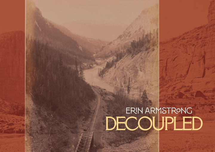 Kniha Decoupled Erin Armstrong