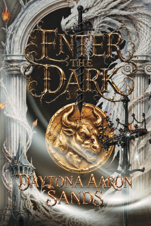 Kniha Enter the Dark Daytona Aaron Sands