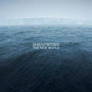 Audio The New World Shearwater