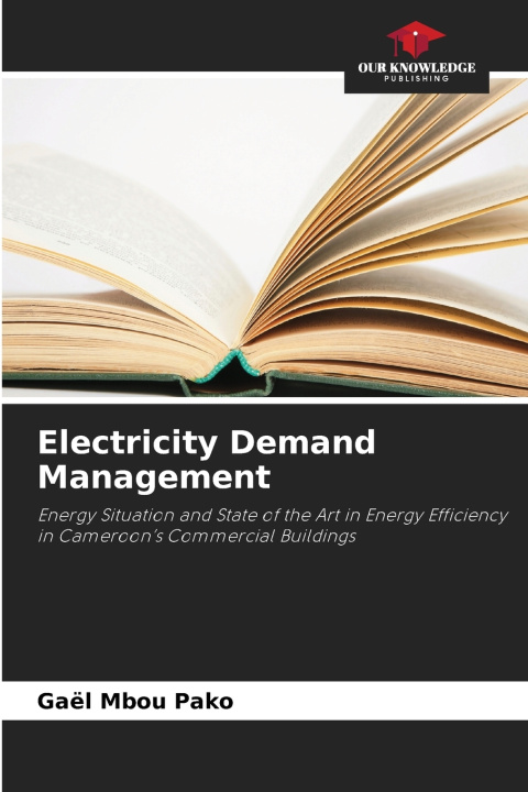 Kniha Electricity Demand Management Gaël Mbou Pako