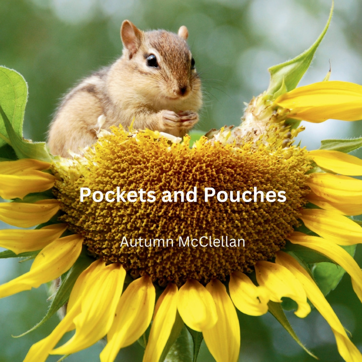 Boek Pockets and Pouches Autumn McClellan