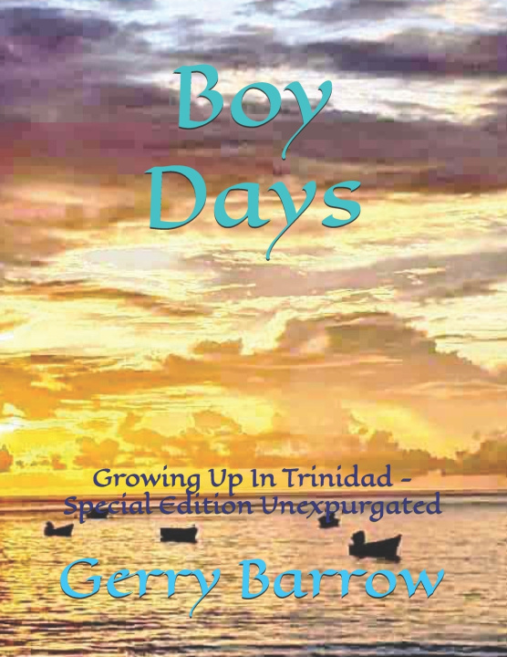Kniha Boy Days Gerry Barrow