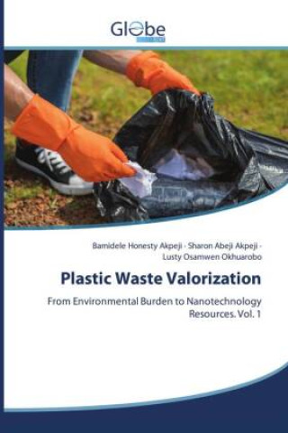 Kniha Plastic Waste Valorization Bamidele Honesty Akpeji