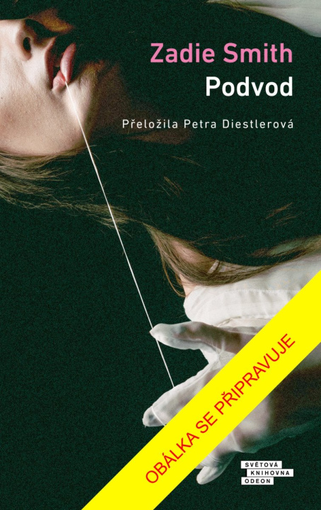Book Podvod Zadie Smith