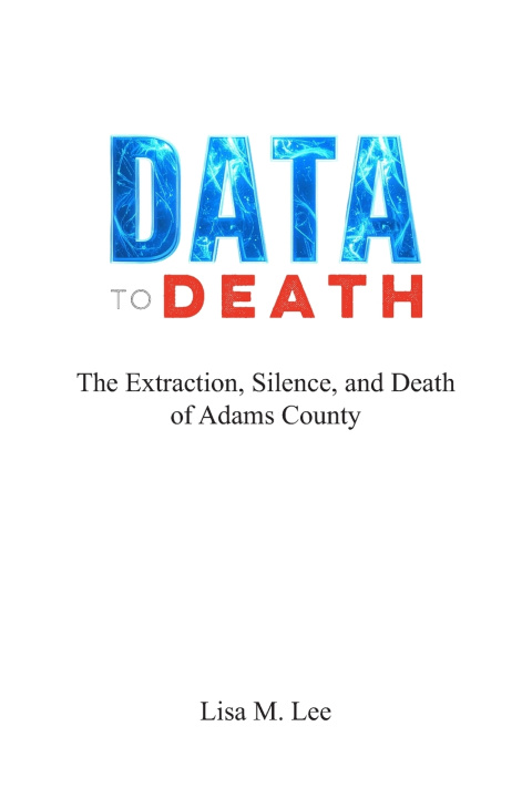 Kniha DATA TO DEATH Lisa M. Lee