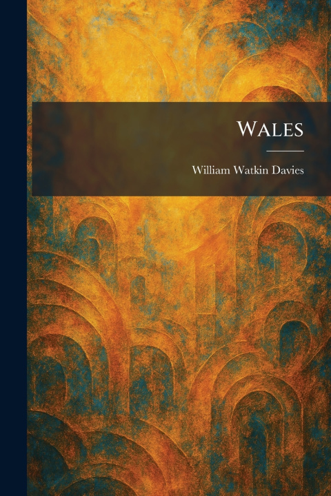 Kniha Wales William Watkin Davies