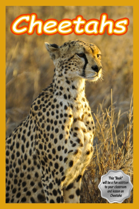 Kniha Cheetahs Arinya H