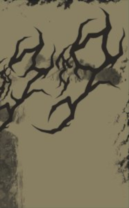 Buch Callisto et amour Palladino