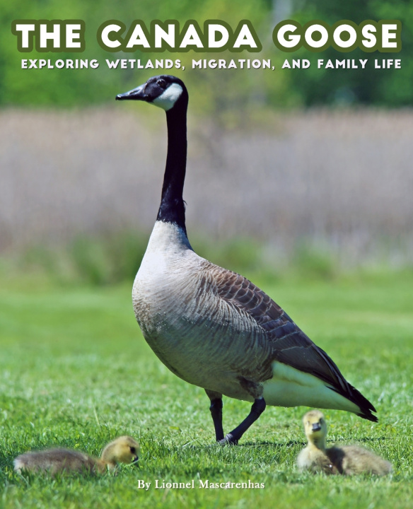 Boek The Canada Goose Lionnel Mascarenhas