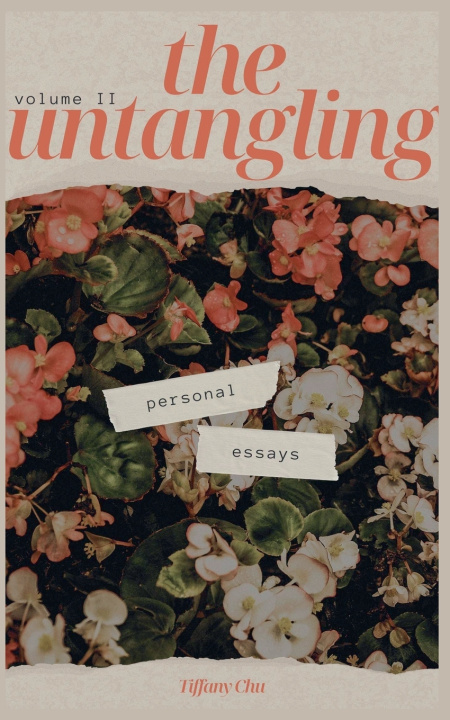 Boek The Untangling Tiffany Chu