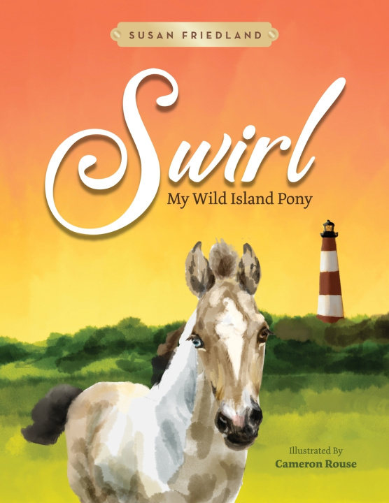 Knjiga Swirl Susan Friedland