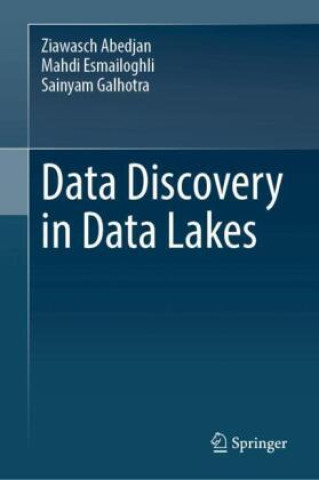 Kniha Data Discovery in Data Lakes Ziawasch Abedjan