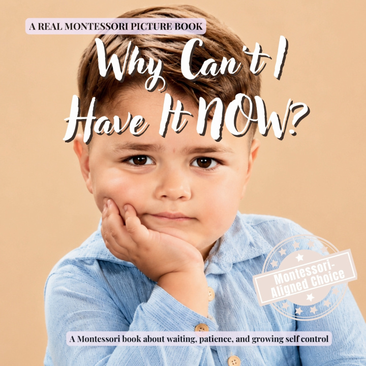 Knjiga Why Can't I Have It NOW? BoonHouse Publishing
