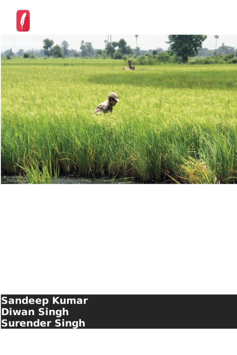 Boek Estratégias de sementeira para o cultivo do arroz Sandeep Kumar