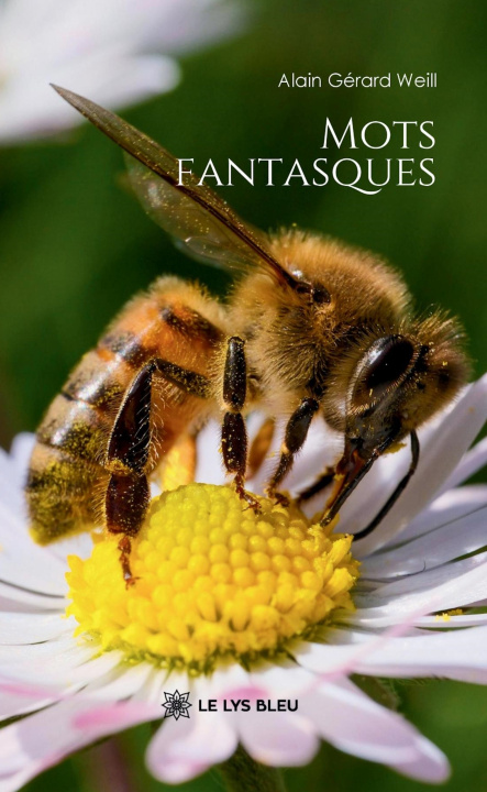 Knjiga Mots fantasques Alain Gérard Weill