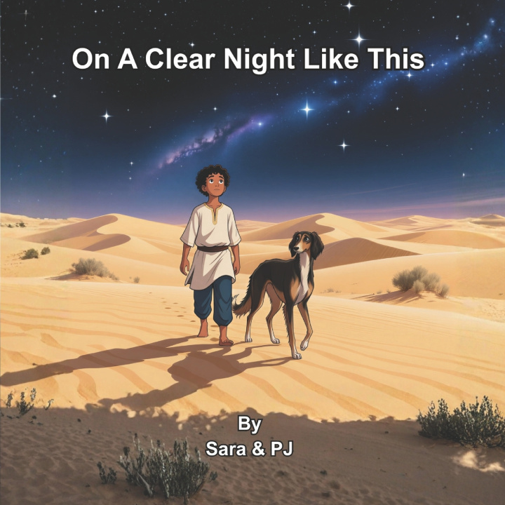 Kniha On a Clear Night Like This PJ Phillips