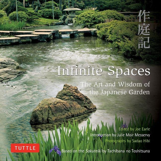 Kniha Infinite Spaces 