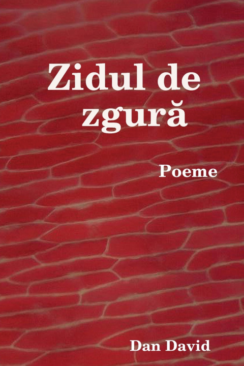 Libro Zidul de zgură Dan David