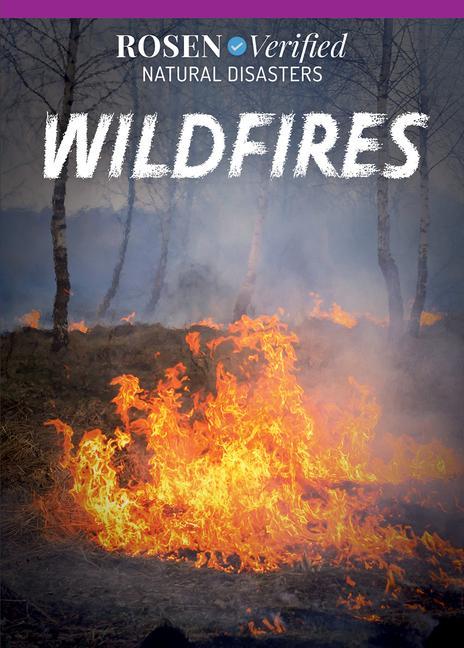 Kniha Wildfires 