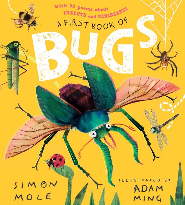 Kniha A First Book of Bugs Adam Ming