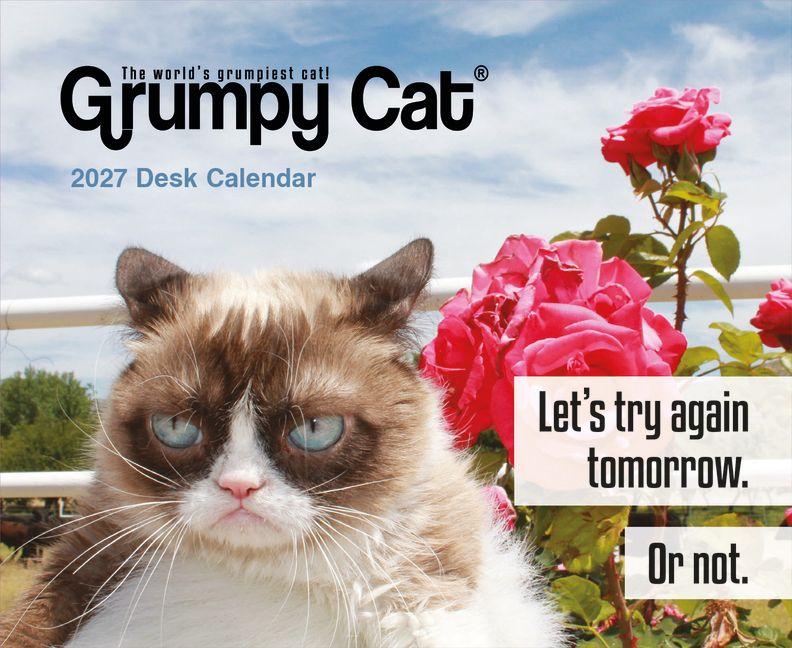 Kalendár/Diár Grumpy Cat 2027 Boxed Calendar 