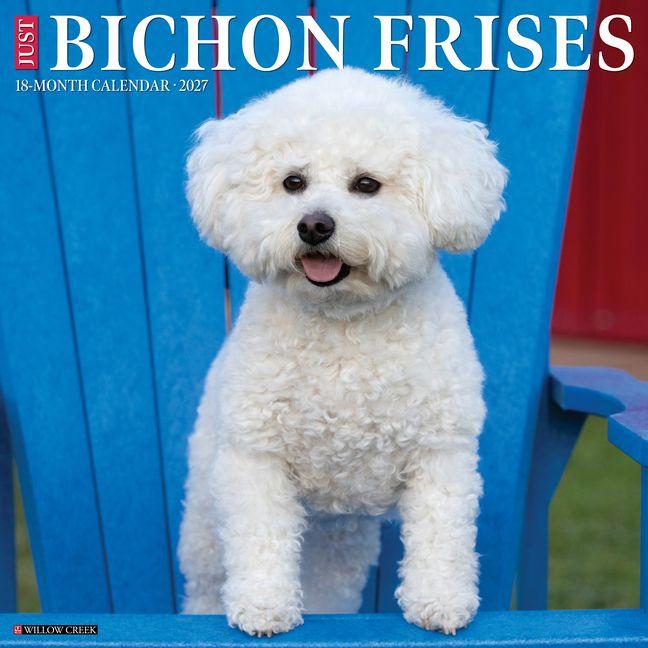 Koledar/Rokovnik Bichon Frises 2027 12 X 12 Wall Calendar 