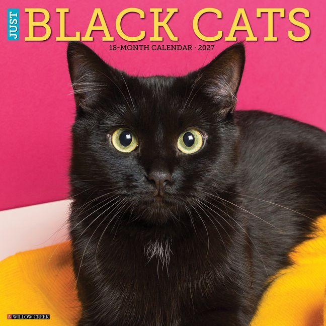 Kalendár/Diár Black Cats 2027 12 X 12 Wall Calendar Willow Creek Press